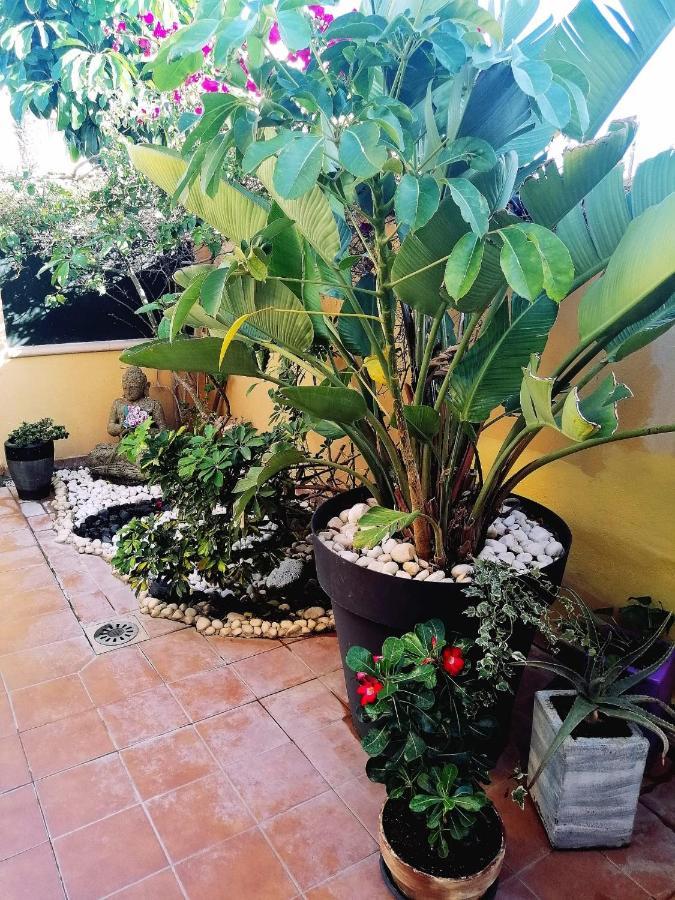 Vivienda Vacacional Vaiana Las Rosas  Extérieur photo